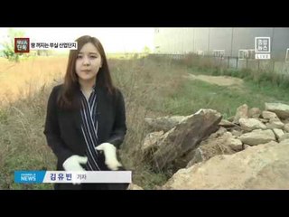 [채널A단독]땅 꺼지고 갈라진 부실 산업단지