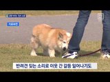 주민갈등 부르는 ‘층犬 소음’ 어쩌나