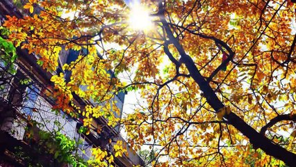 10 điều ở Hà Nội càng xa càng nhớ