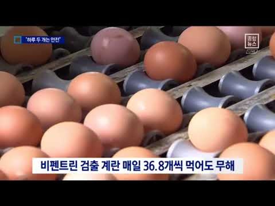 피프로닐 검출 계란…“매일 2개씩 먹어도 문제 없다”