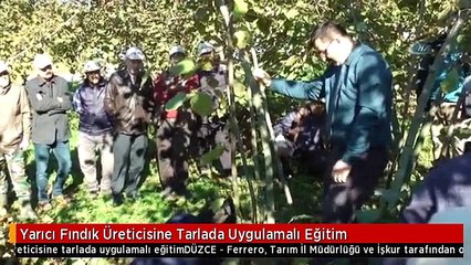 Yarıcı Fındık Üreticisine Tarlada Uygulamalı Eğitim