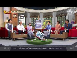 安 출마설에 정치권 ‘서울시장 하마평’ 화두