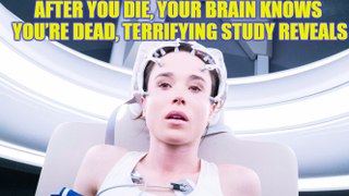 After you die, your brain knows you’re dead, terrifying study reveals