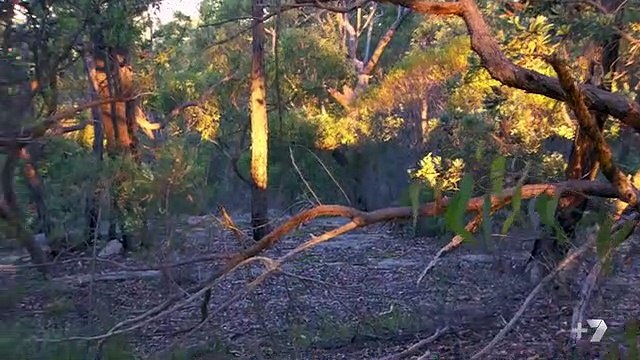 Home and Away 6769 2nd November 2017 Part 3/3