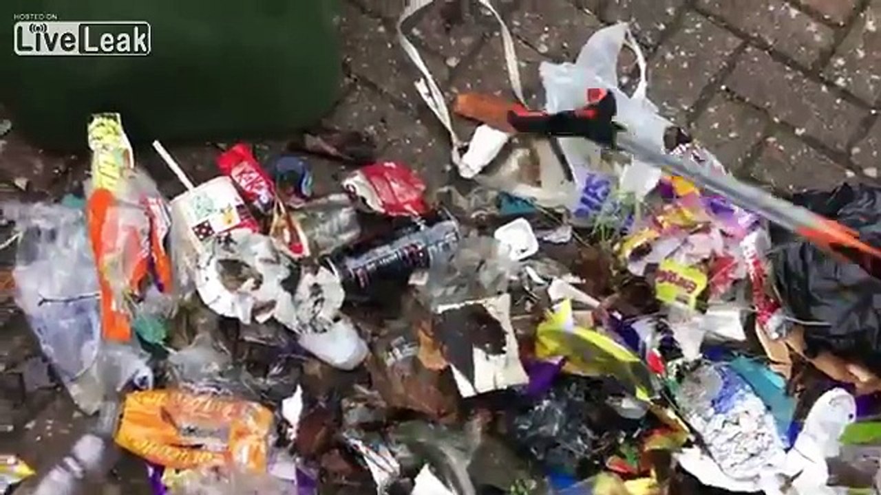 England rapidly becoming: "A shithole full of Litter"