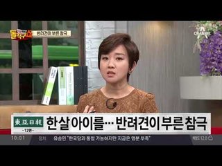 7년간 기르던 진돗개가 1살 딸 물어 사망