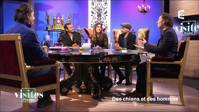 Patou des Pyrénées, chien de montagne - Visites privées