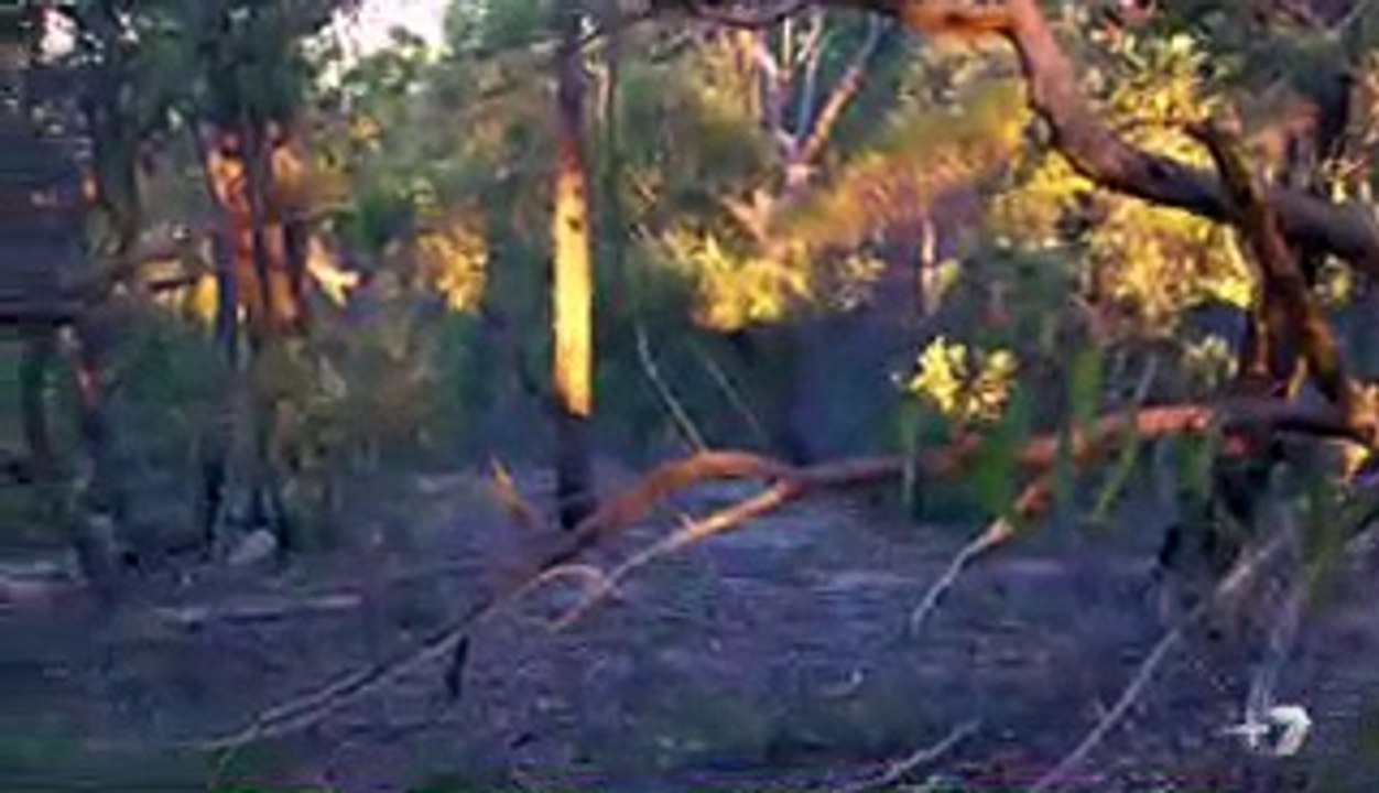 Home and Away 6769 2nd November 2017 | Home and Away 2nd November 2017 | Home and Away 6769 2nd...