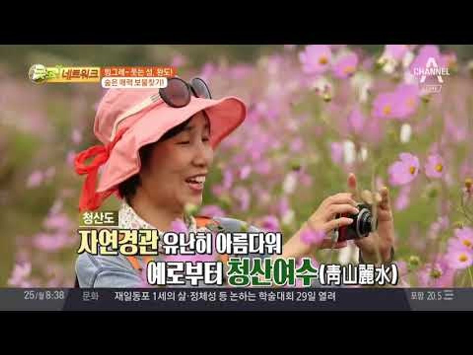 완도의 숨은 보물찾기! ② 완도가 품은 '보석' 섬