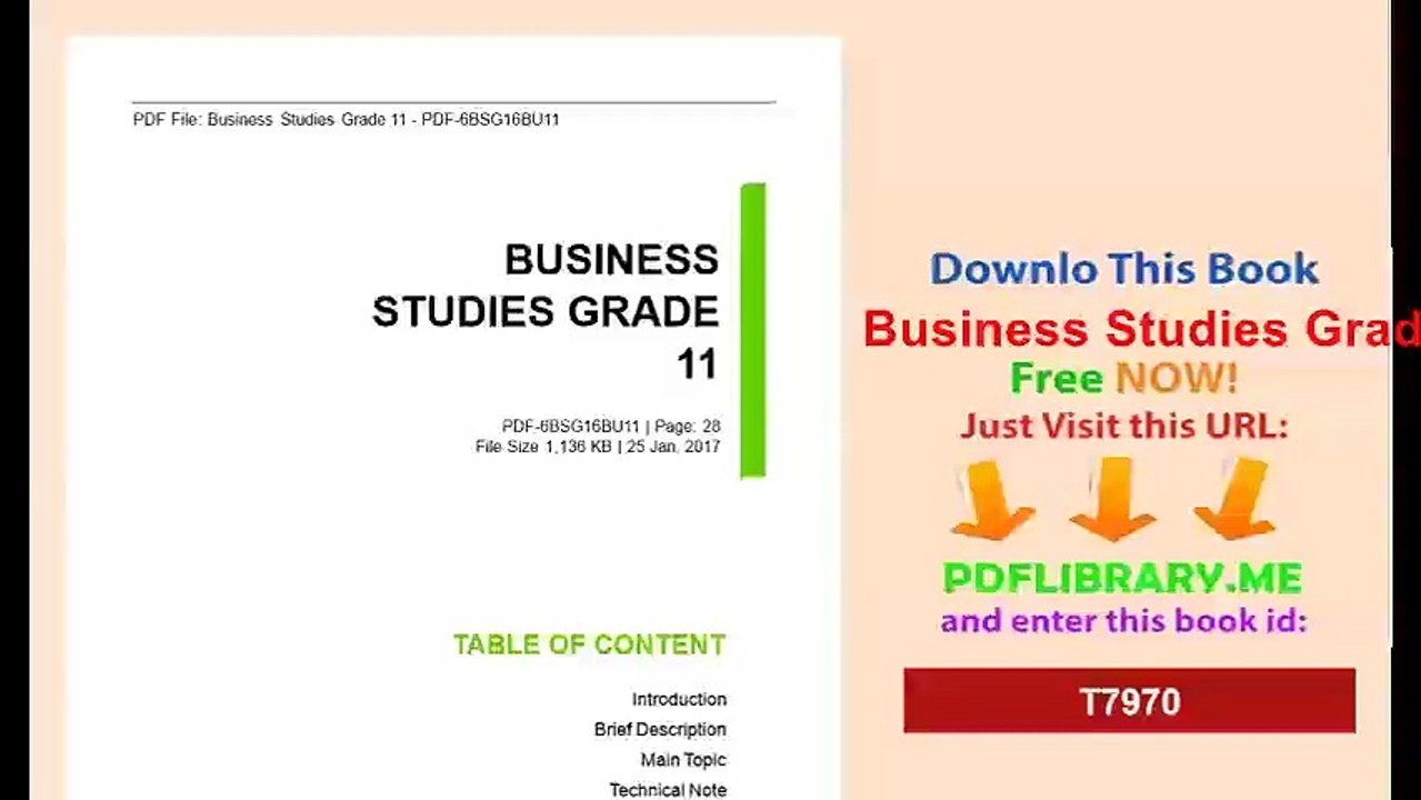Business Studies Grade 11