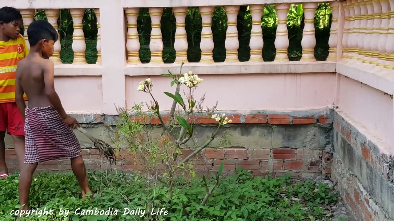 Wow! Temple Boys Catch Big Snake Near Pond - Amazing Catching Snake Without Fear