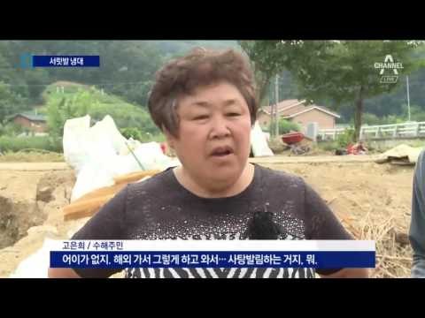 ‘외유’ 도의원, 때늦은 봉사…당에선 제명