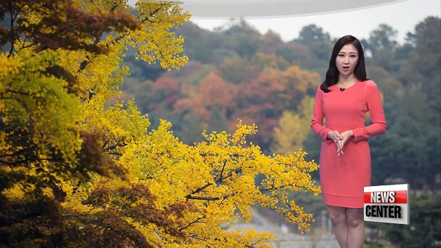 Nation under cloudy and rainy sky _ 110217