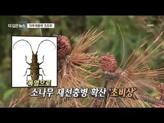 [더깊은뉴스]뜨거운 한반도에 독한 벌레가 몰려온다