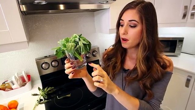 10 Handy Food Storage Tips! Stop Wasting Money!