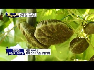 경남 산청! ‘밤나무 산’의 주인 양재복 굿맨! 그의 삶을 위협한 뇌졸중과 당뇨!