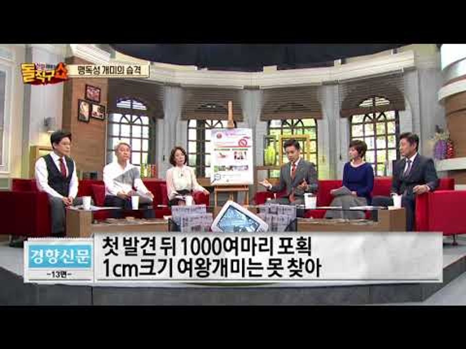 ‘살인 개미’ 공포…방역당국 확산 막기 ‘총력’