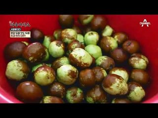 연 매출 4억원?! 영양 두배, 맛도 두배! 사과만한 대추 #사과대추