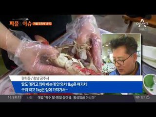 바다로 산으로… 가을 정취에 흠뻑! 깊어가는 가을 축제