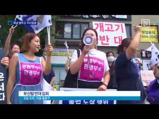 복날 직전 개 150마리 구출…美 입양 예정