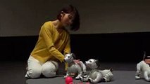 Sony to launch new AIBO robot dog in Jan. (1)