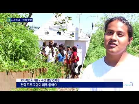 교육과 예술 공간…뉴욕은 지금 ‘수상 텃밭’ 시대