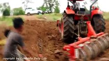 Terrifying!! Two Brothers Catch Two Big Snakes Nearby Two Trors While Ploughing The Fields