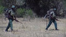 Malawi turns to British troops in poaching war