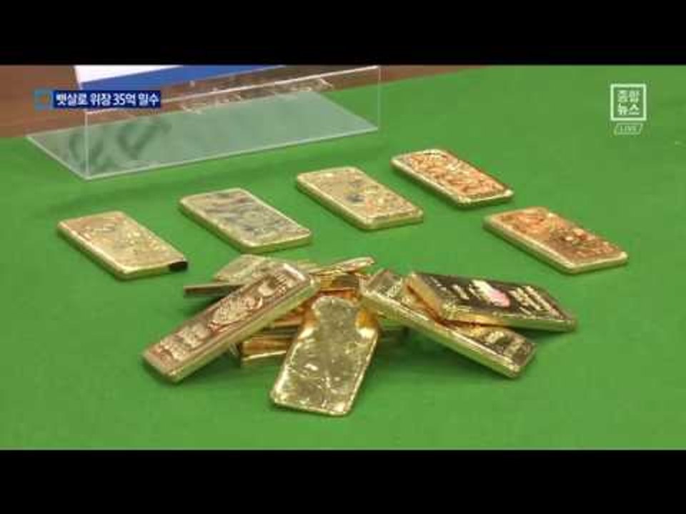 35억 원 어치 뱃살인 척 금괴 밀수…일당 검거