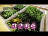 남녀노소 취향 저격! ‘쌈 채소’ 쌈 채소 부부의 귀농 성공 비법 대공개!