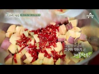 고구마 김치 & 고구마 묵 레시피!