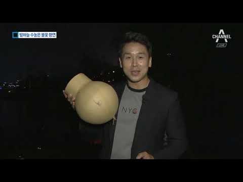 10만 발의 세계 불꽃 축제…100만의 인파