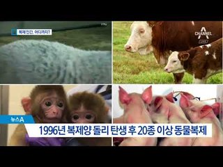 인공생명체 연구…영화 속 복제인간 현실은?