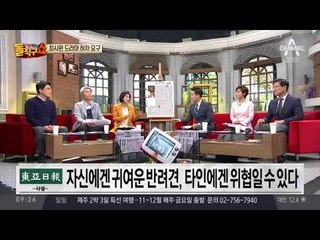 반려견에 사망 사고까지…처벌은 솜방망이