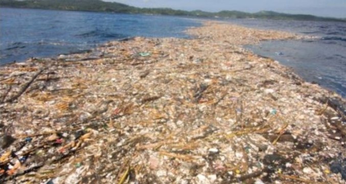 Cennet Karayipler'deki Çevre Felaketi Korkunç Boyutlara Ulaştı