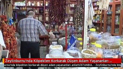 Zeytinburnu'nda Köpekten Korkarak Düşen Adam Yaşananları Anlattı