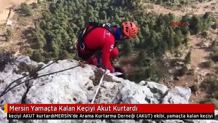 Mersin Yamaçta Kalan Keçiyi Akut Kurtardı