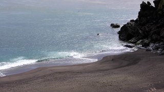 Beach Waves - Jim Neumann