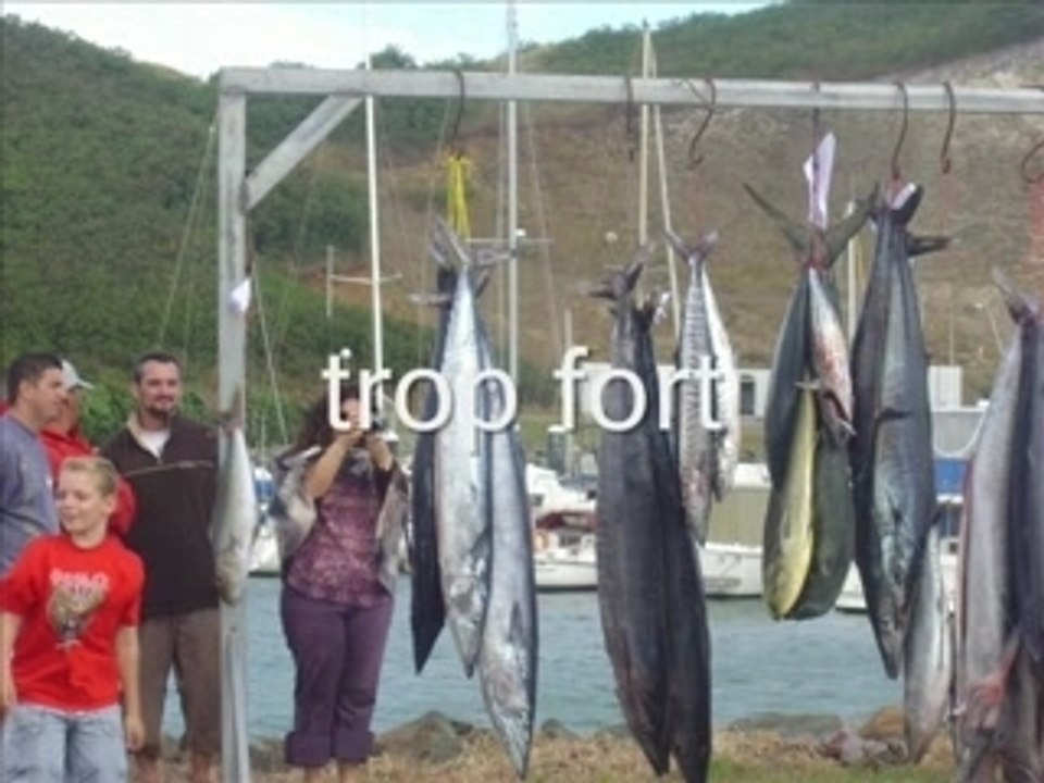 Coup d'pêche