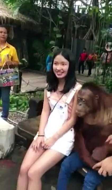 Perverted Monkey Flirting with a Cute Girl