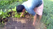 Amazing Eel trap with Deep Hole - How to Catch Eel with deep hole - Cambodia Traditional Fishing