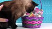 Surprise Easter Egg Basket Blind Bag Toys | Shopkins Disney Moofia & Simon | PSToyReviews