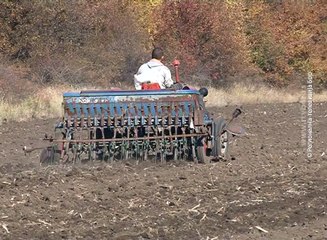 Setva pri kraju, 2. novembar 2017 (RTV Bor)