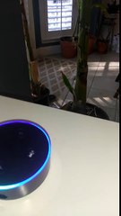 Il coince son Alexa d'Amazon dans une boucle infinie !