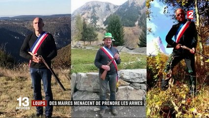 Loups : les maires menacent de prendre les armes