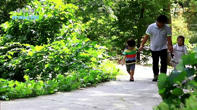 한국기행 - Korea travel_발길 머무는 섬 울릉도 4부 님과 함께 다시 오지로_#001