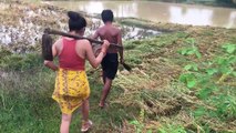 Wow! Amazing Children Catch Water Snake Using Bamboo Net Trap - How to Catch Water Snake in Cambodia
