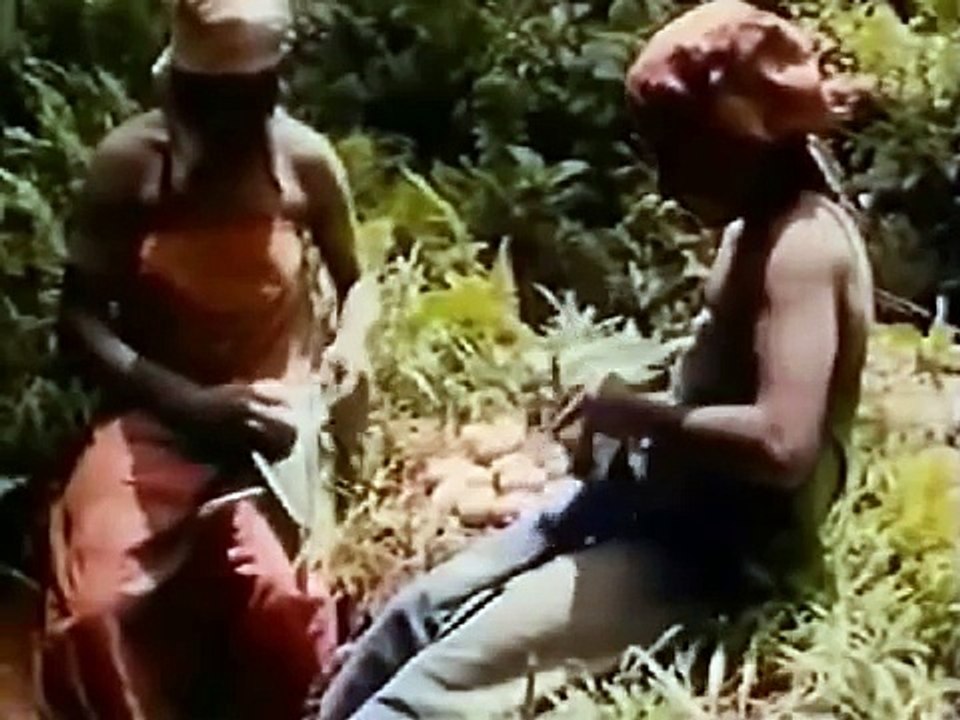 New Guinea Other Worlds (Nature Documentary)