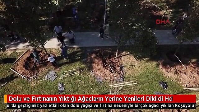 Dolu ve Fırtınanın Yıktığı Ağaçların Yerine Yenileri Dikildi Hd