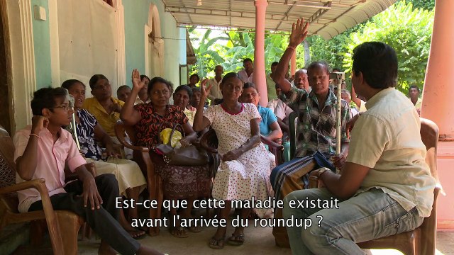 Le Roundup face à ses juges